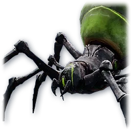 Baby Odyle Spider