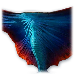 Skyray