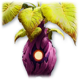 Large Leaf Gravi
