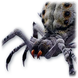 Ashen Spider