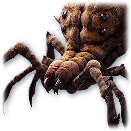 Withered Branch Spider