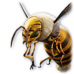 Aberrant Bee