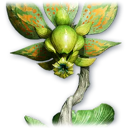 Forest Dionae