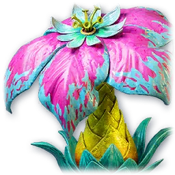 Rafflesia