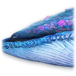 Sky Whale