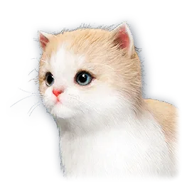 Babymeow