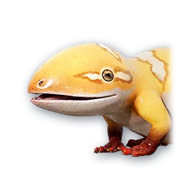 Debry