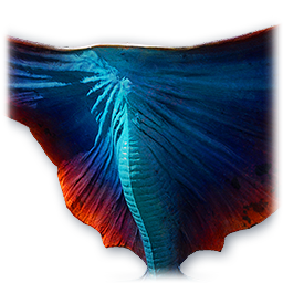 Soul: Skyray (Bound)