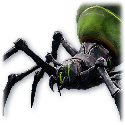 Baby Odyle Spider
